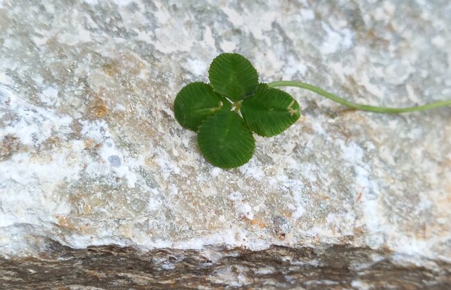 jardin_vivace_portfolio_21