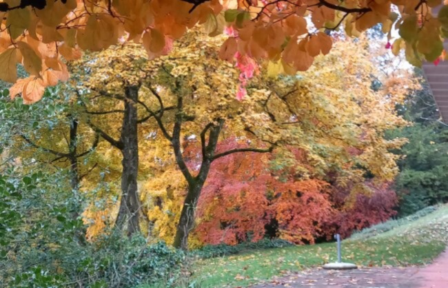 jardin_vivace_portfolio_6